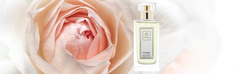 Neox Poudre™ – Eau de Parfum for Women